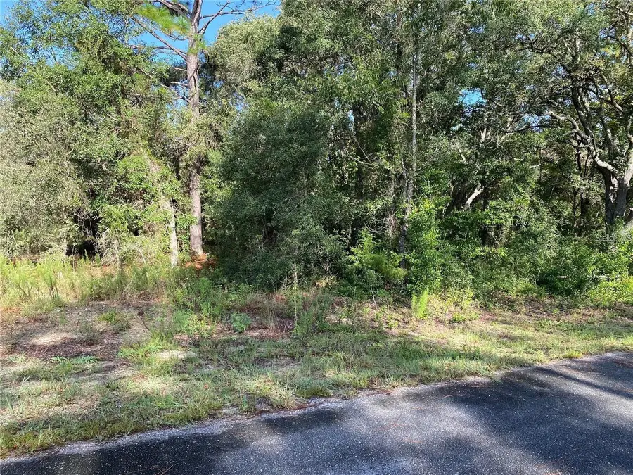 00 SW Breezy Point Drive, Dunnellon, FL 34431 - #2