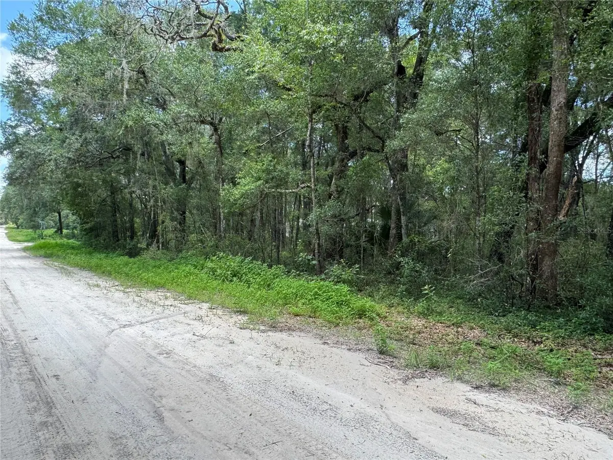 Sw 139th Ct, Dunnellon, FL 34432 - #1