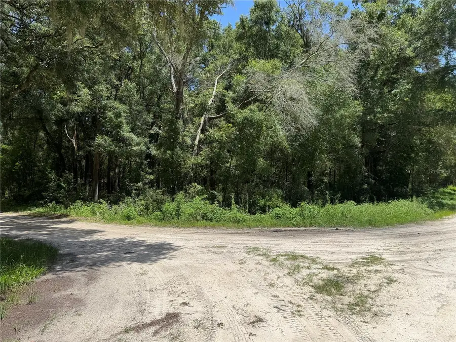 Sw 139th Ct, Dunnellon, FL 34432 - #3