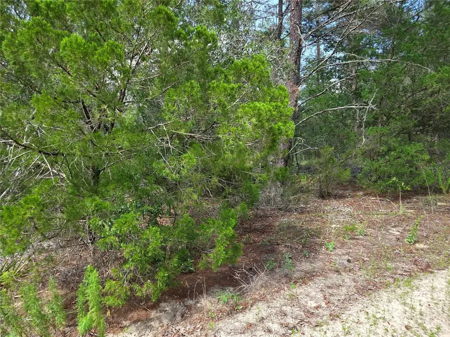 0000 NE 95th Street, Archer, FL 32618 - #2