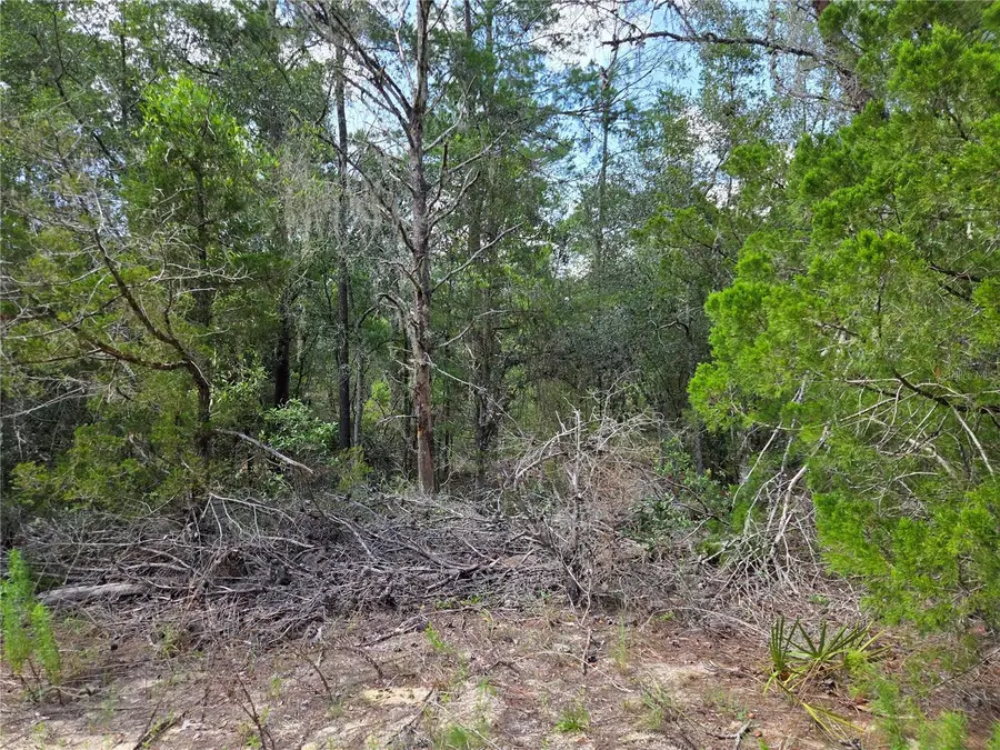 0000 NE 95th Street, Archer, FL 32618 - #3