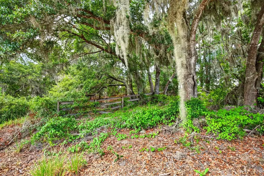 Malauka Loop, Ocklawaha, FL 32179 - #2