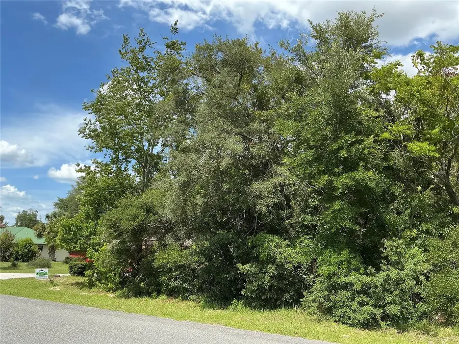 Marion Oaks Drive, Ocala, FL 34473 - #3