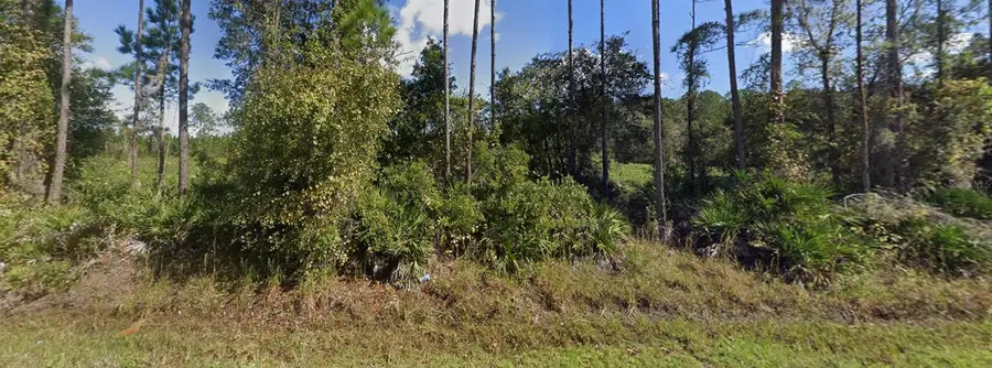 0 NE 64th Avenue, Citra, FL 32113 - #3