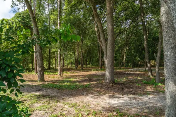 40 Deer Trail Circle, BRONSON, FL 32621