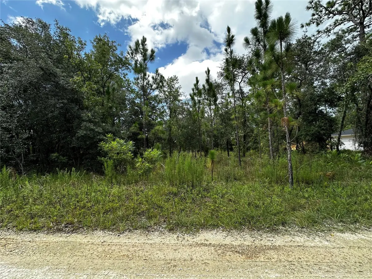 TBD NE 15th Lane, Williston, FL 32696 - #1