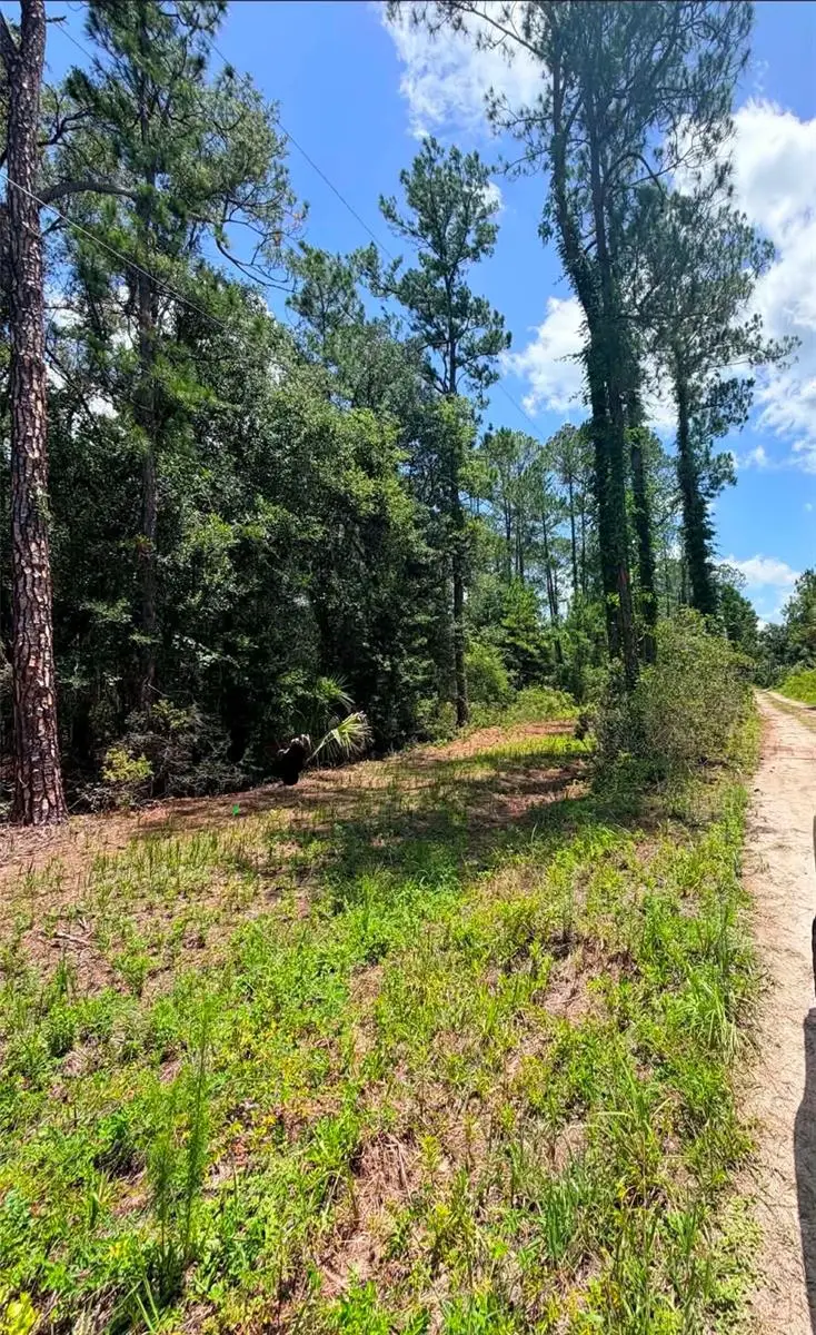 0 NE 132nd Pl, Citra, FL 32113 - #2