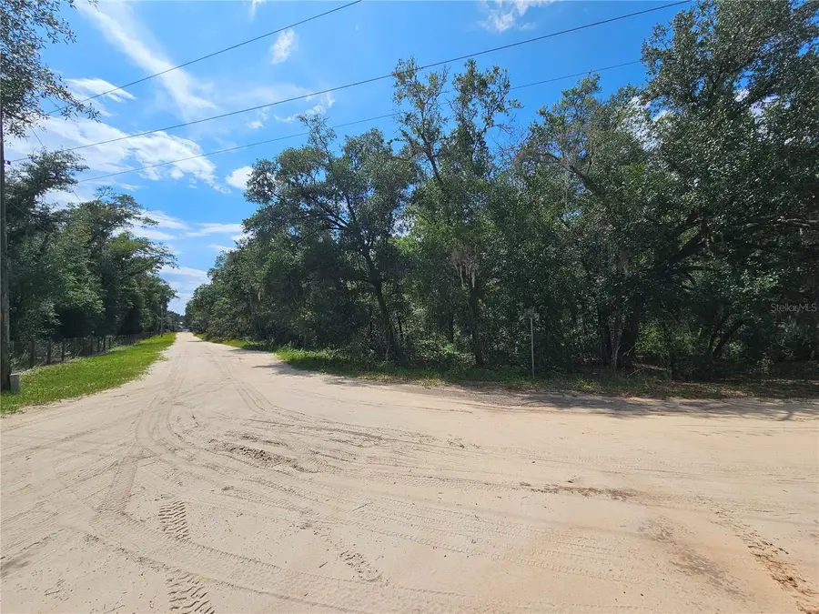 Se 171st Lane, Weirsdale, FL 32195 - #2