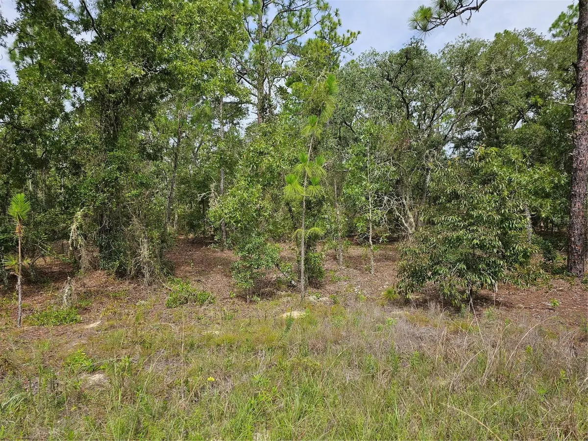 00 SW 122 Avenue, Dunnellon, FL 34432 - #1