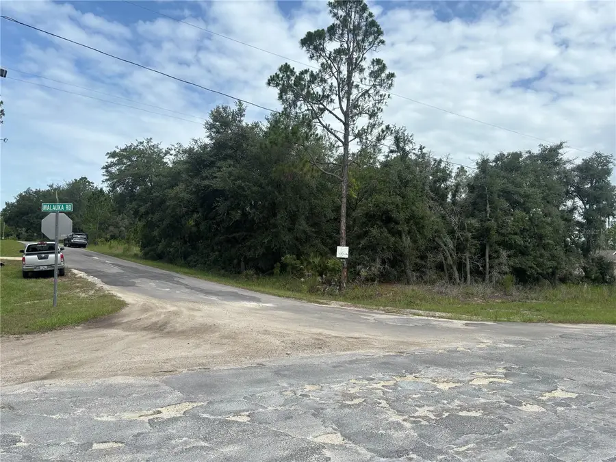 0000 Malauka Place, Ocklawaha, FL 32179 - #2