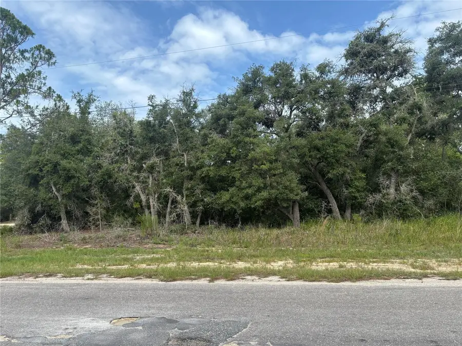 0000 Malauka Place, Ocklawaha, FL 32179 - #3