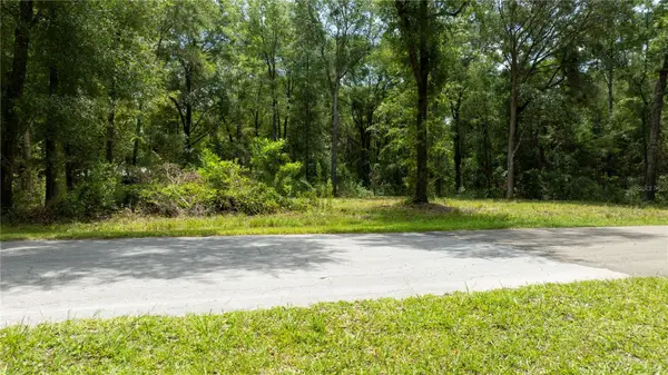 000 NE 155th Court, WILLISTON, FL 32696