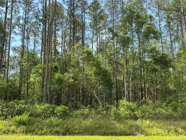 4425 Joyce Street, HASTINGS, FL 32145