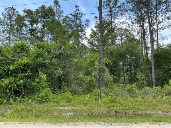 10730 Beckenger Avenue, HASTINGS, FL 32145