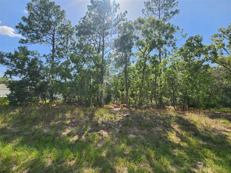 9712 N Lovell Dr, Dunnellon, FL 34433 - #2