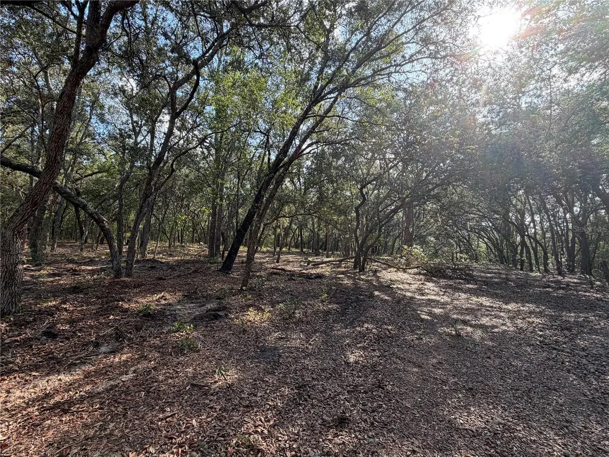 103 SW 53rd Avenue, Interlachen, FL 32148 - #1
