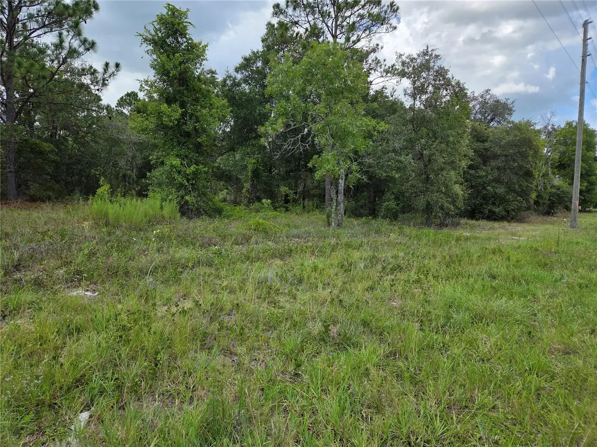 0000 SE State Road 121, Williston, FL 32696 - #1