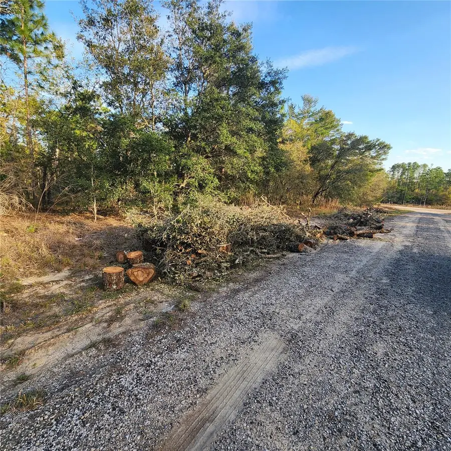 6673 N Libby Terrace, Citrus Springs, FL 34433 - #3