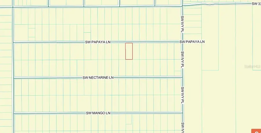 SW Papaya Lane, Dunnellon, FL 34431 - #2