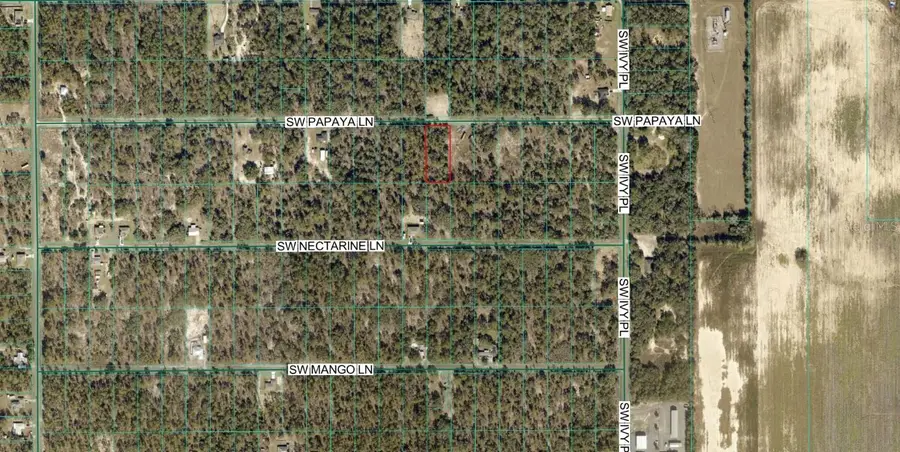 SW Papaya Lane, Dunnellon, FL 34431 - #3