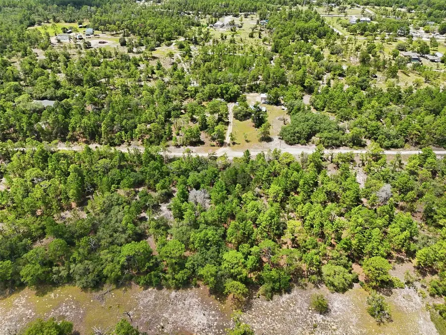 123 N Matsonford Avenue, Dunnellon, FL 34433 - #3