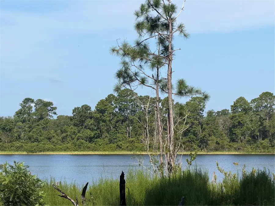 TBD Malauka Radial, Ocklawaha, FL 32179 - #2