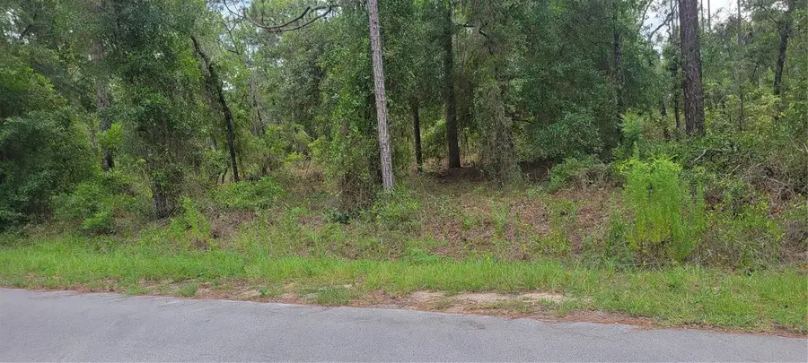 0 NW Chestnut Avenue, Dunnellon, FL 34431 - #2