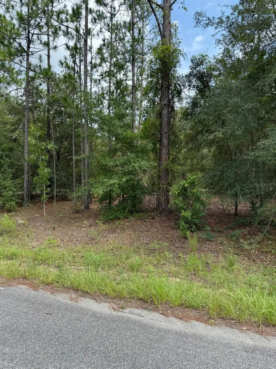 6461 N Elnora Way, Citrus Springs, FL 34433 - #2