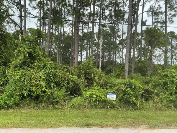 191 Boulder Rock Drive, PALM COAST, FL 32137