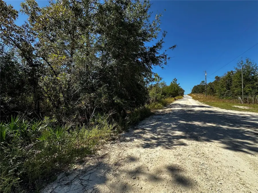TBD NE 65th Lane, Bronson, FL 32621 - #3