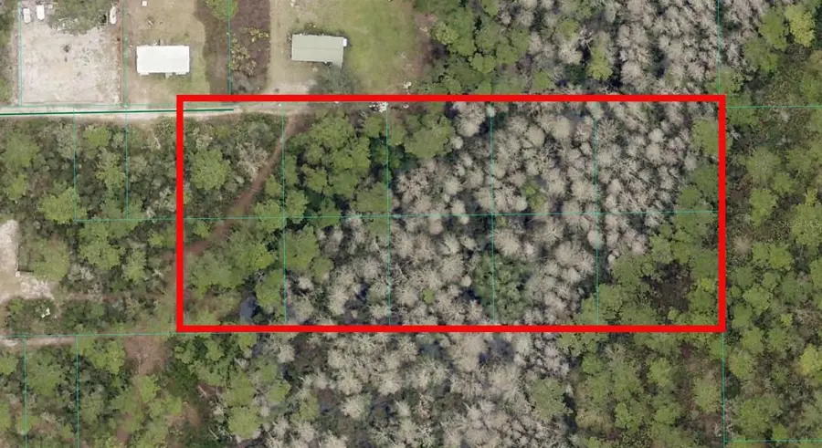 TBD NE 156th Lane, Fort McCoy Anthony, FL 32134 - #3