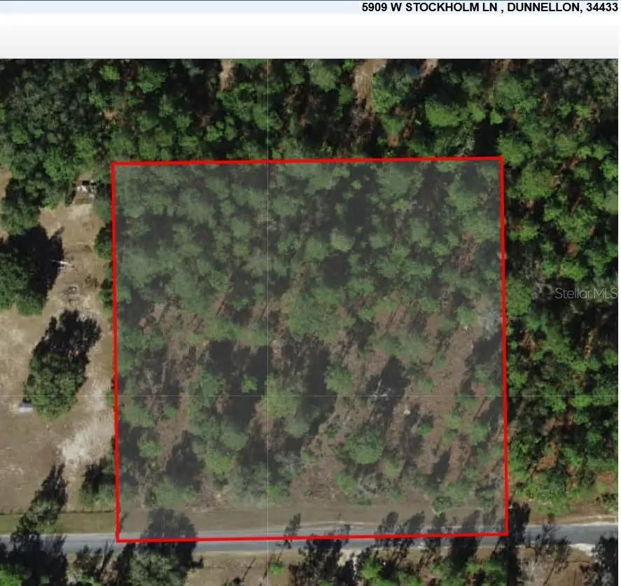 5909 W Stockholm Lane, Dunnellon, FL 34433 - #2