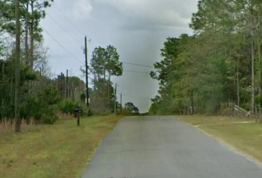 5909 W Stockholm Lane, Dunnellon, FL 34433 - #3
