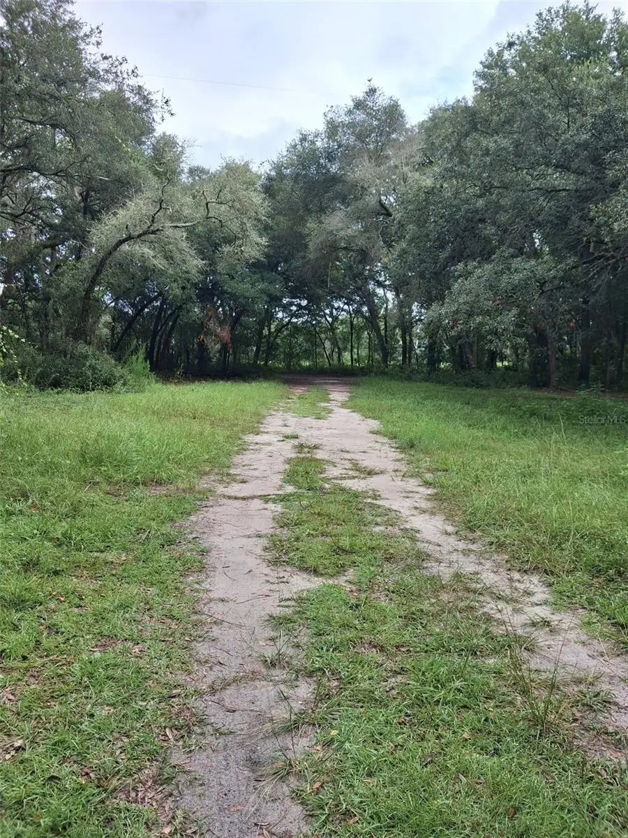 7484 SW 150th Street, Dunnellon, FL 34432 - #1