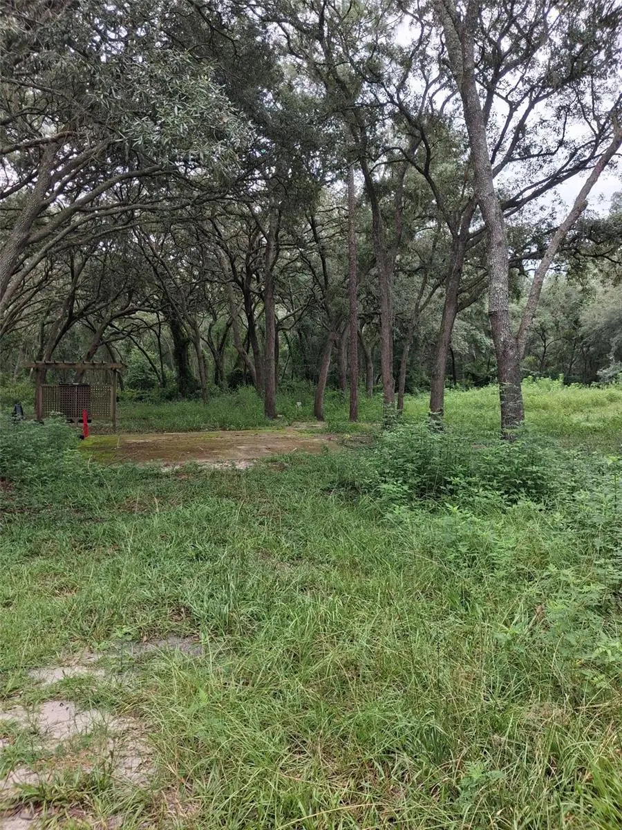 7484 SW 150th Street, Dunnellon, FL 34432 - #2