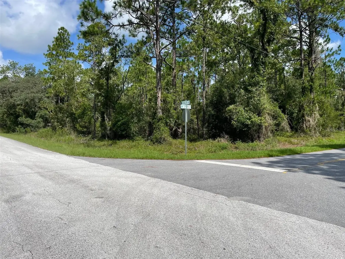 LOT 19 NW Mallard Avenue, Dunnellon, FL 34431 - #1