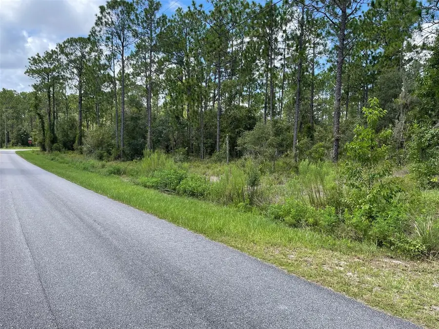 LOT 19 NW Mallard Avenue, Dunnellon, FL 34431 - #2