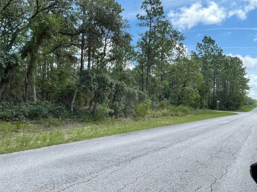 LOT 19 NW Mallard Avenue, Dunnellon, FL 34431 - #3