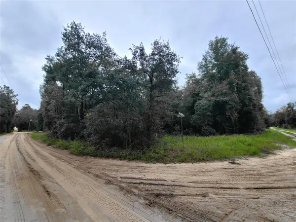 TBD NE 81st Ter Drive, BRONSON, FL 32621