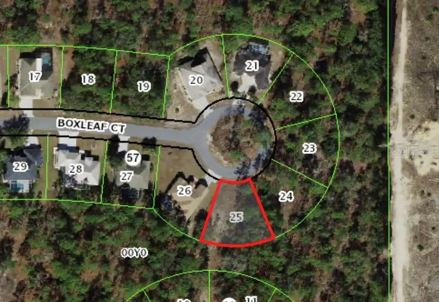 37 Boxleaf Court, Homosassa, FL 34446 - #1