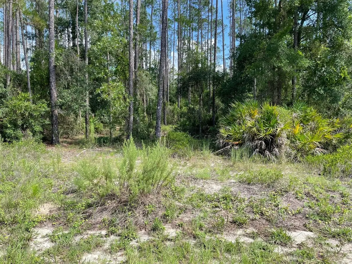 LOT 23 SW Tiger Lake Boulevard W, Dunnellon, FL 34431 - #1