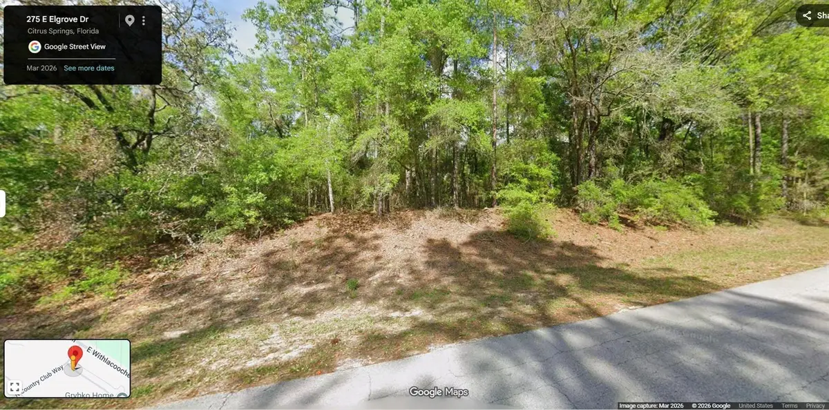 275 E Elgrove Drive, Citrus Springs, FL 34434 - #1