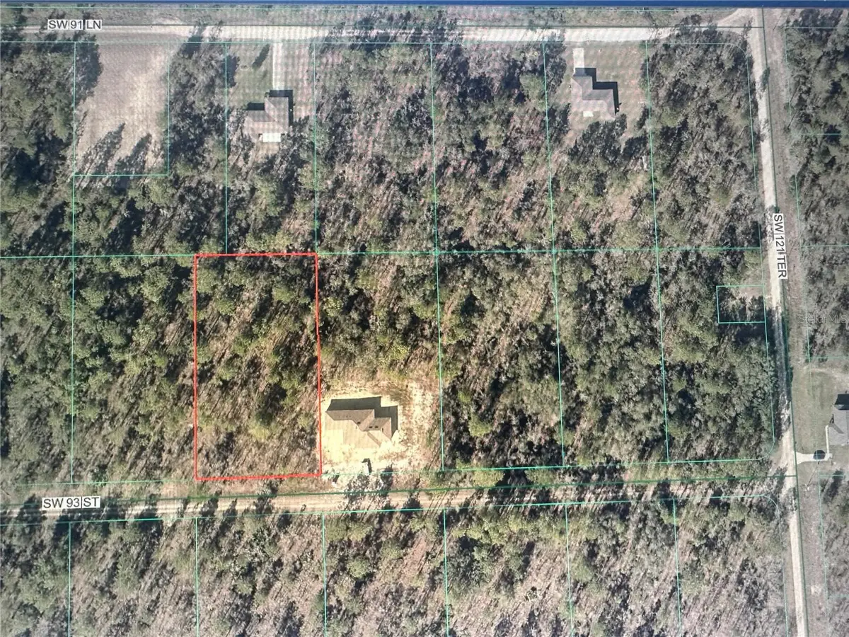 SW 93th Street, Dunnellon, FL 34432 - #1
