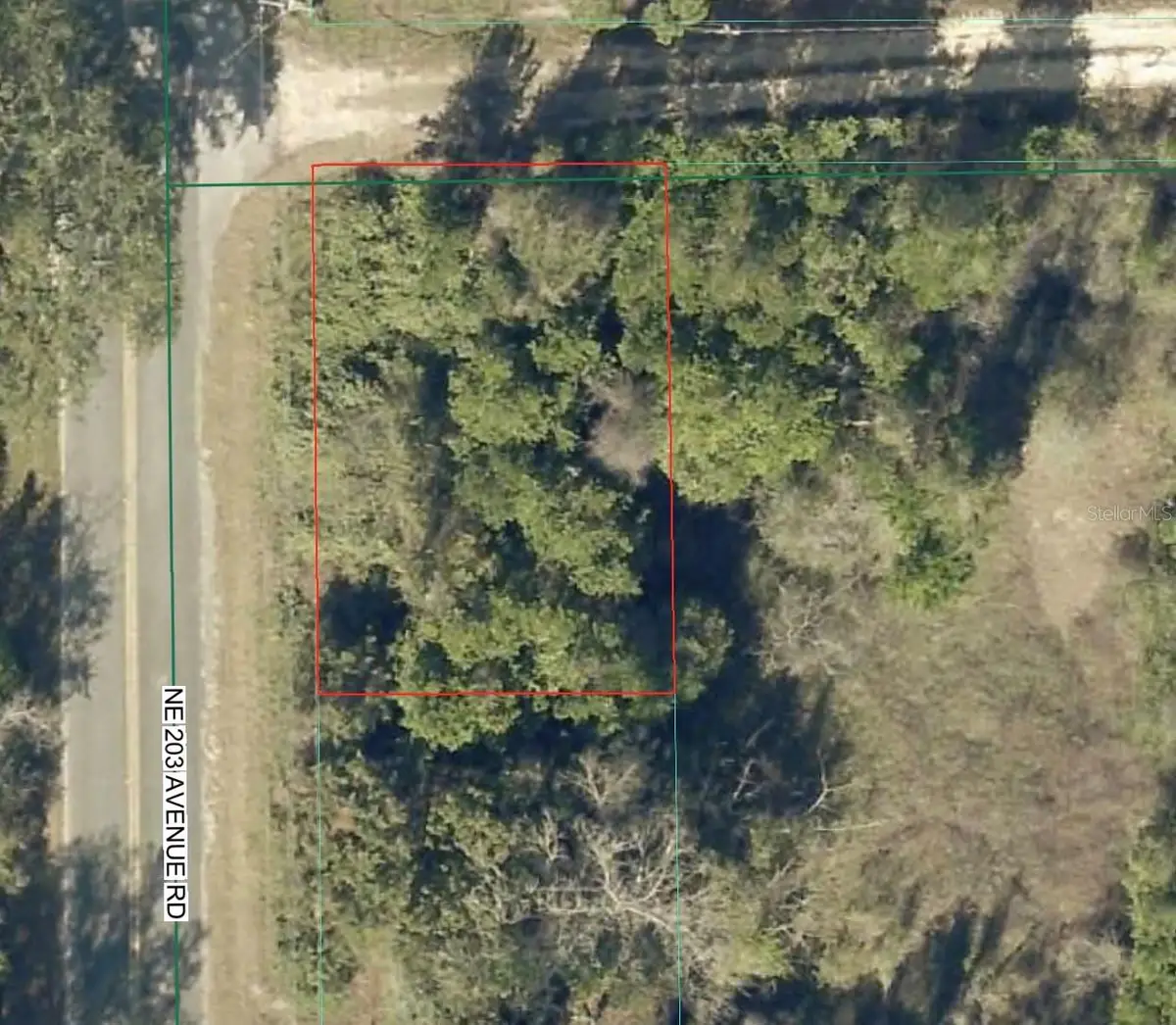 TBD NE 143 Lane, Lake Kerr, FL 32134 - #1