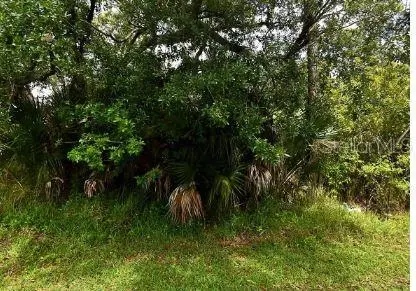 Carver Street, North Port, FL 34286 - #2
