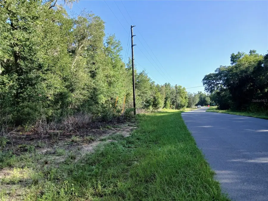 10762 N Academy Drive, Citrus Springs, FL 34434 - #3