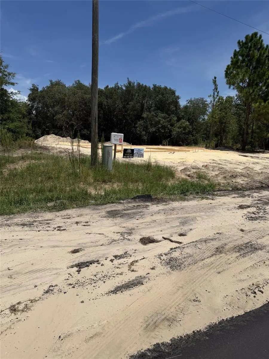 6603 N Bedstrow Boulevard, Citrus Springs, FL 34434 - #2