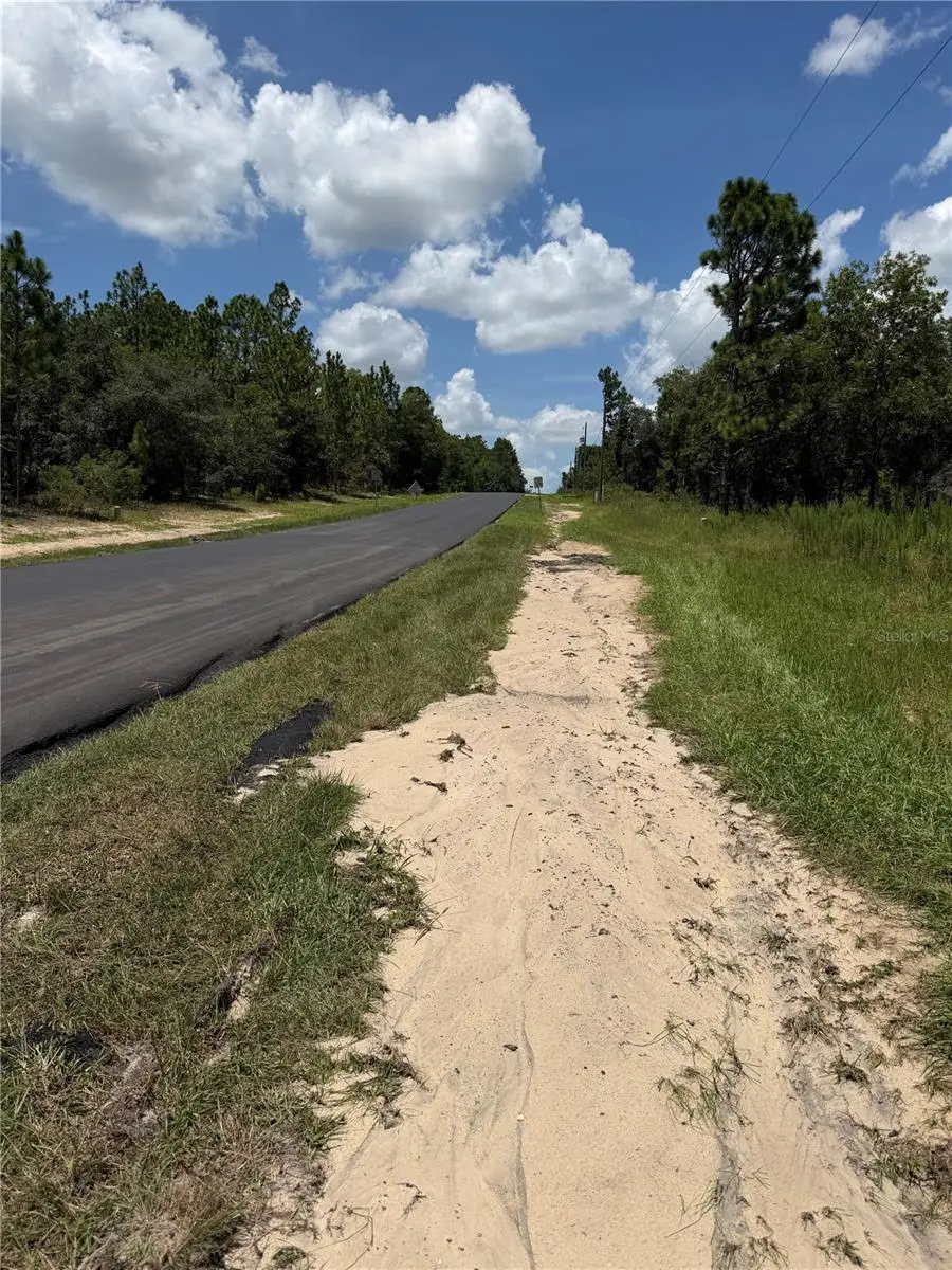 6603 N Bedstrow Boulevard, Citrus Springs, FL 34434 - #3
