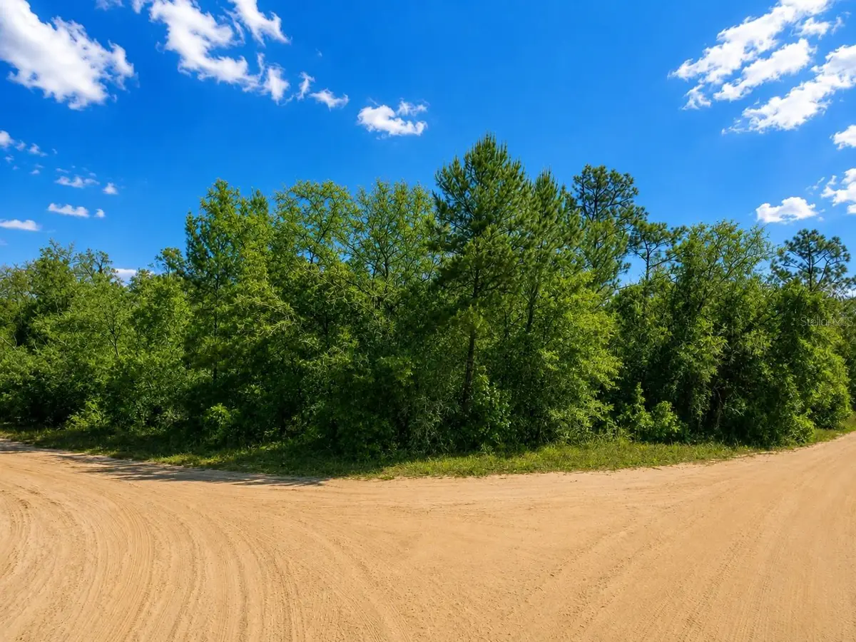 TBD Dogwood Drive, Interlachen, FL 32148 - #1