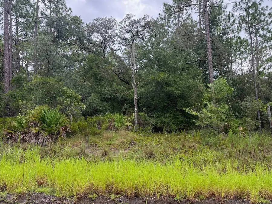 175 Court, Dunnellon, FL 34432 - #3